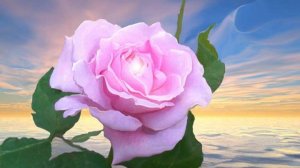 15 марта 2026 г. Воскресная служба на русском языке