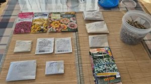 Семена однолетних цветов, которые посею в марте