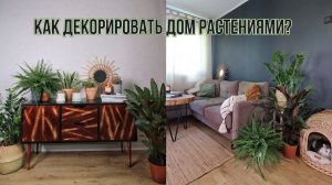 КАК ДЕКОРИРОВАТЬ ДОМ РАСТЕНИЯМИ? URBAN JUNGLE