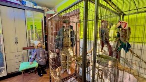 Ангелина и Влад пришли познакомиться с новыми жителями нашей какадурки,они просто ПОРАЖЕНЫ красотой)