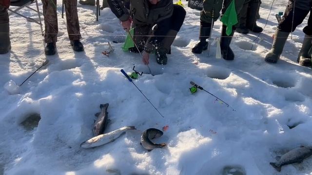 15.03.26 г. РК Волна. смотреть онлайн