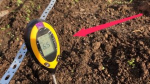 Вырастить капусту без заморочек с рассадой возможно или нет