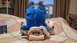 КОТ БАСИК. Детективное агентство. Часть 3.