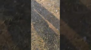 вызываем духов