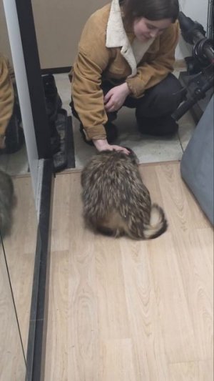 НЕДЕЛЮ НЕ ВИДЕЛА ДЕВУШКУ