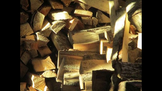 СОВРЕМЕННАЯ ИДИЛЛИЯ. Леденёв В.П