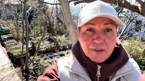 Это растение разбирают первым! Что я нашла в питомнике