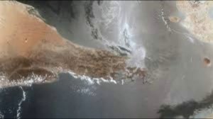 Дональд Трамп призвал ряд стран направить в Ормузский пролив свои корабли