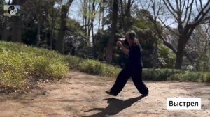 095 Лабиринты кунфу