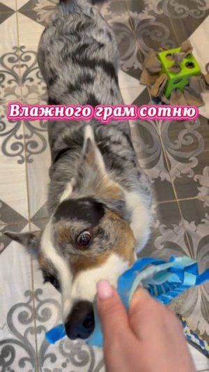 Вечно голодная Бетти