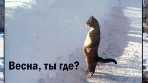 ВЕСНА, ты где, я тебя не вижу!