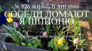 Соседи ломают, а я за ними шпионю. Рассказываю новости. № 926 Жизнь в Англии