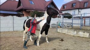 Наступил нечаянно ((