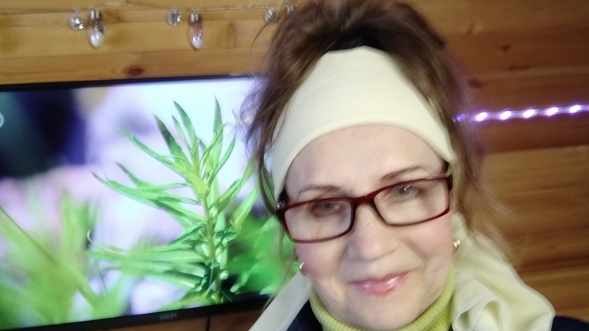 Казанова возвращение разбор сюжета 1-4