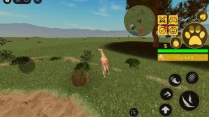 Играю в Саванну лайф за Жирафа🙀