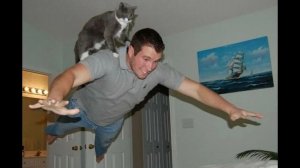 Я РЖАЛ ДО СЛЕЗ | СМЕШНЫЕ ВИДЕОПРИКОЛЫ |Смешные видео с животными и людьми | ПОДБОРКА ПРИКОЛОВ😂🤣