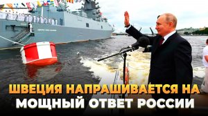 Швеция напрашивается на мощный ответ России