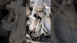 Музейная Киа