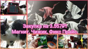 Закупка на 3.557₽! Магнит, Чижик, Фикс Прайс.