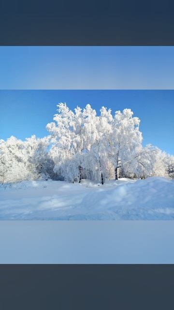 Владимир Набоков Сонет