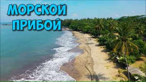 Звуки моря, шум прибоя, успокаивающая музыка для расслабления и отдыха, relax music