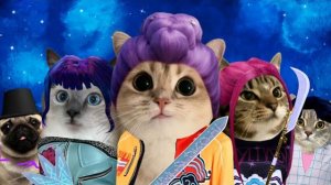 ЗАБАВНОЕ ПРИКЛЮЧЕНИЕ КОШЕЧЕК-АЛЬТУШЕК! ПОЛЕТ В САМОЛЕТЕ И ВЫСТУПЛЕНИЕ НА ШОУ ТАЛАНТОВ! 🐱😻🙀