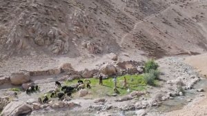 Загрос вдали от цивилизации.