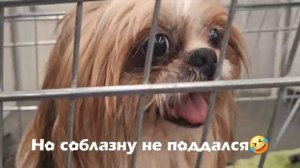 Цена.Магазин👀🤣