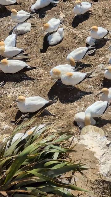 Паттерн, в котором вы уже находитесь