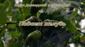 Юрич Долгорукий и группа РаУ - Падает желудь
