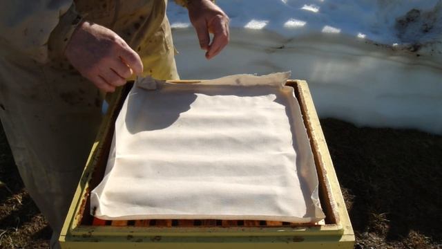 Подставляю перговые рамки в гнездо.