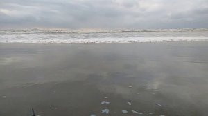 Шамора после тайфуна 9.11.2021.