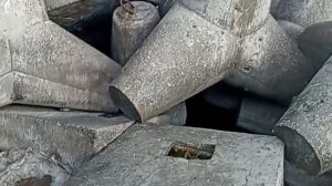 Рыбачка Света.