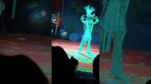 Цирк медведи на буйволах 1