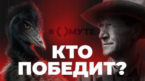 Они объявили войну ПТИЦАМ и... ПРОИГРАЛИ /// Война с эму в Австралии /// В ОМУТЕ