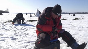 «Рыбинская рыбалка» в семейном зачете. Фестиваль рыбаков прошел в Ярославской области