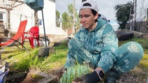 Зима в Португалии. Купил газонокосилку зимой — и участок не узнать! (Дом в Португалии). Выпуск 49