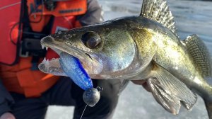 Ловля Судака 2026. Грамотная рыбалка. Москва - Река. Лучшая Русская рыбалка 2026 Онлайн на Рутубе