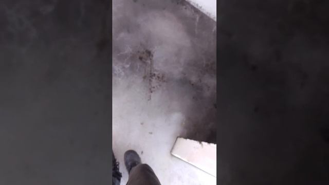 катаюсь на велосипеде