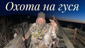 Охота на гуся на болотах #36 | С одностволкой тоже нормально