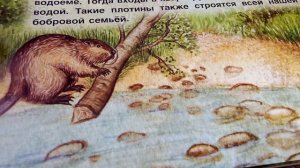 Интересный журнал Млекопитающие от издателя говорящая природа. Очень интересный видос.