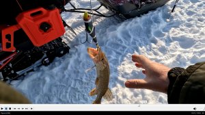 15 марта 2026 г. Устье Нангакорки.