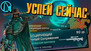 ГАЙД на ФАРМ – ЛУТ в ивенте и БИЛДЫ на всех персонажей Borderlands 4