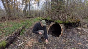 СТРОЮ ЗЕМЛЯНКУ В КОРНЯХ ДЕРЕВА