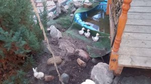 Воскресное  солнечное  утро.