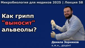 Вирусы гриппа