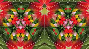 С Днём Рождения!!! Весенний сон 1!!! Музыкальная открытка от Киностудии Мудрого Кота Тимофея!