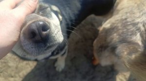 Херсонщина 15 марта 2026 года