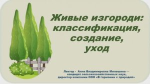 Лекция «Живые изгороди: классификация, создание, уход»