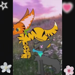 Шанс 100% попасть в такое видео! Коты Воители Темная Ночь КВ